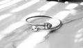 Wolf Head Bangle Bracelet - Silver & Gold